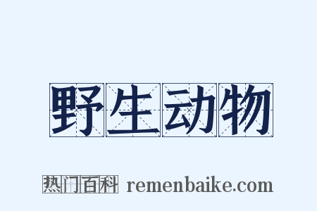 野生动物是什么意思的图片